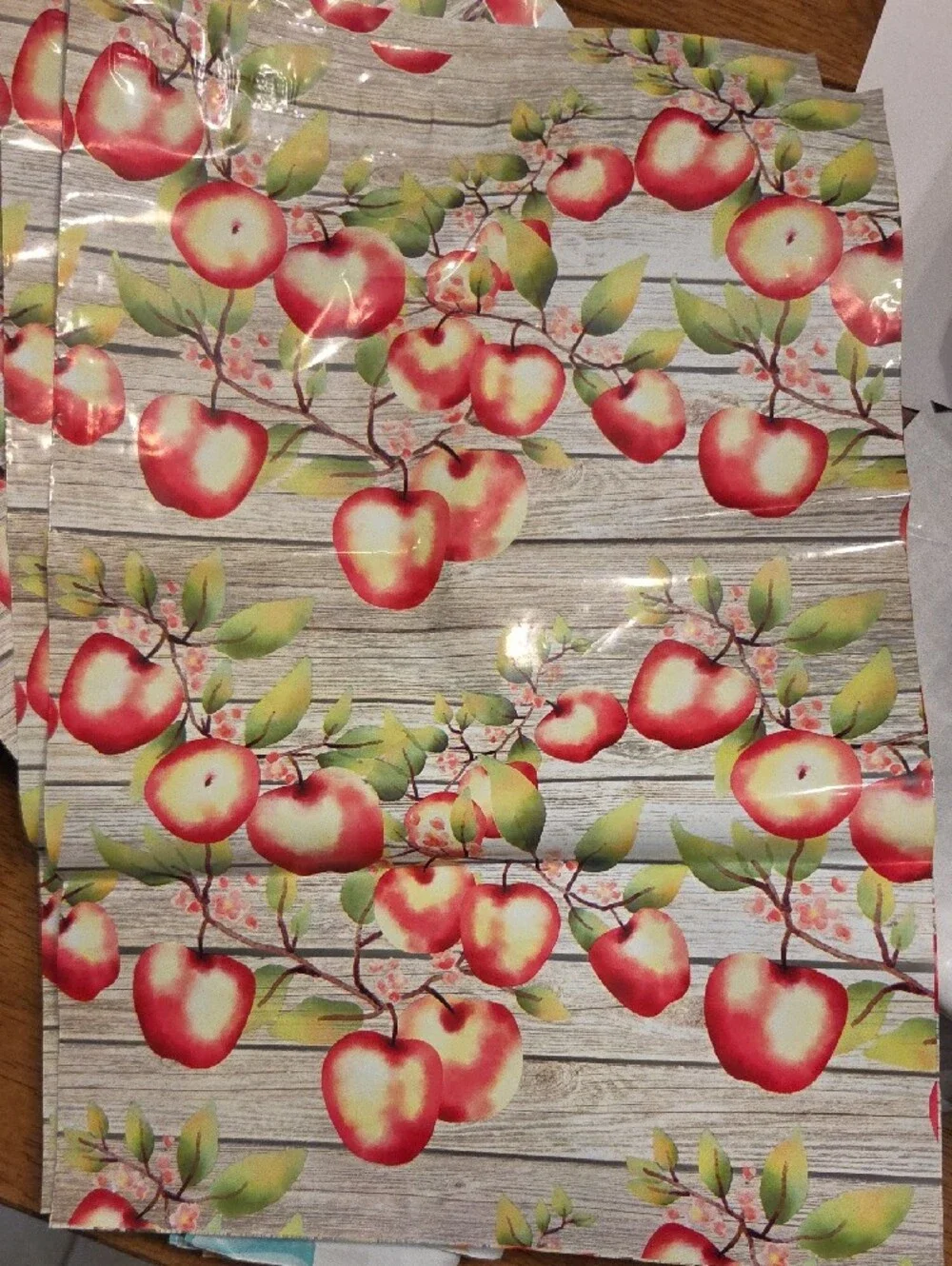 Autumn Themed- Random Pulled 10×13 Polly Mailers - Set Of 25